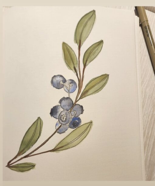 Intro to Watercolor - May 20th - Image 6