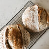 Sourdough 2.0 - Tuesday, June 3rd - Image 7