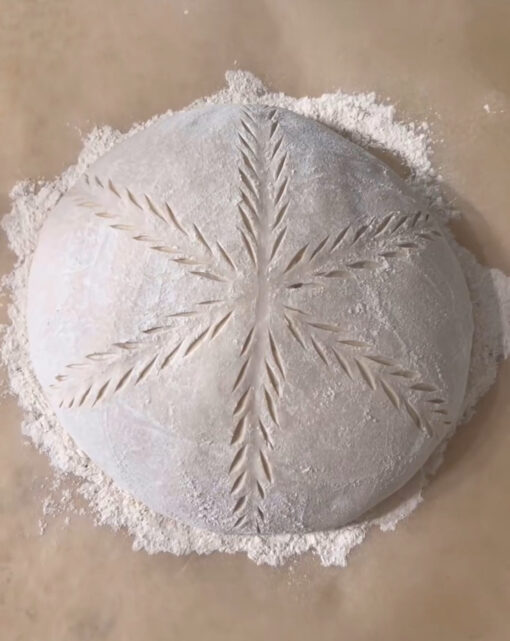 Sourdough 2.0 - Tuesday, April 22nd - Image 3