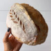 Sourdough 2.0 - Tuesday, June 3rd - Image 8