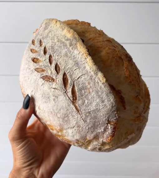 Sourdough 2.0 - Tuesday, April 22nd - Image 8