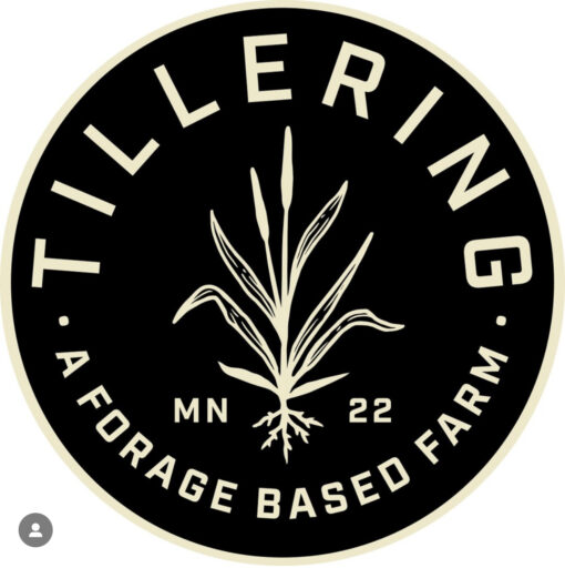 Make Your Own Beef Tallow Balm - June 2nd - Image 12