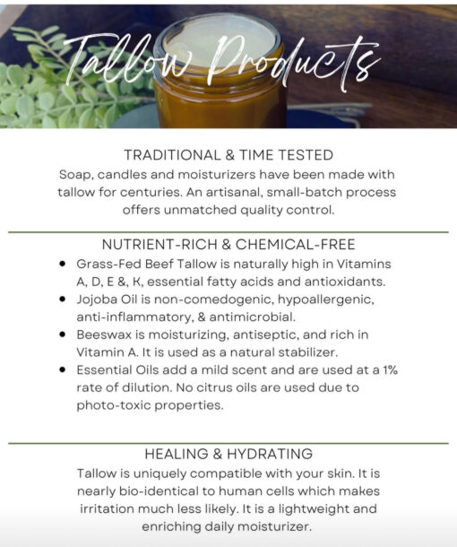 Make Your Own Beef Tallow Balm - June 2nd - Image 3