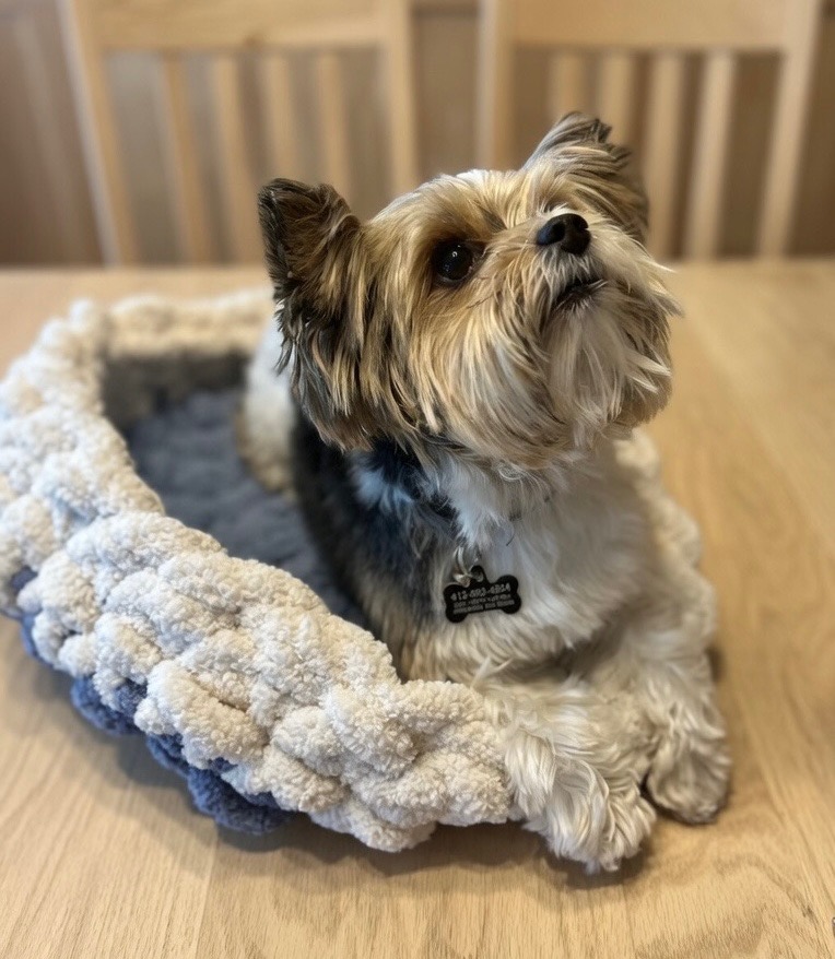 Hand Knit Pet Bed - Thursday, May 28th